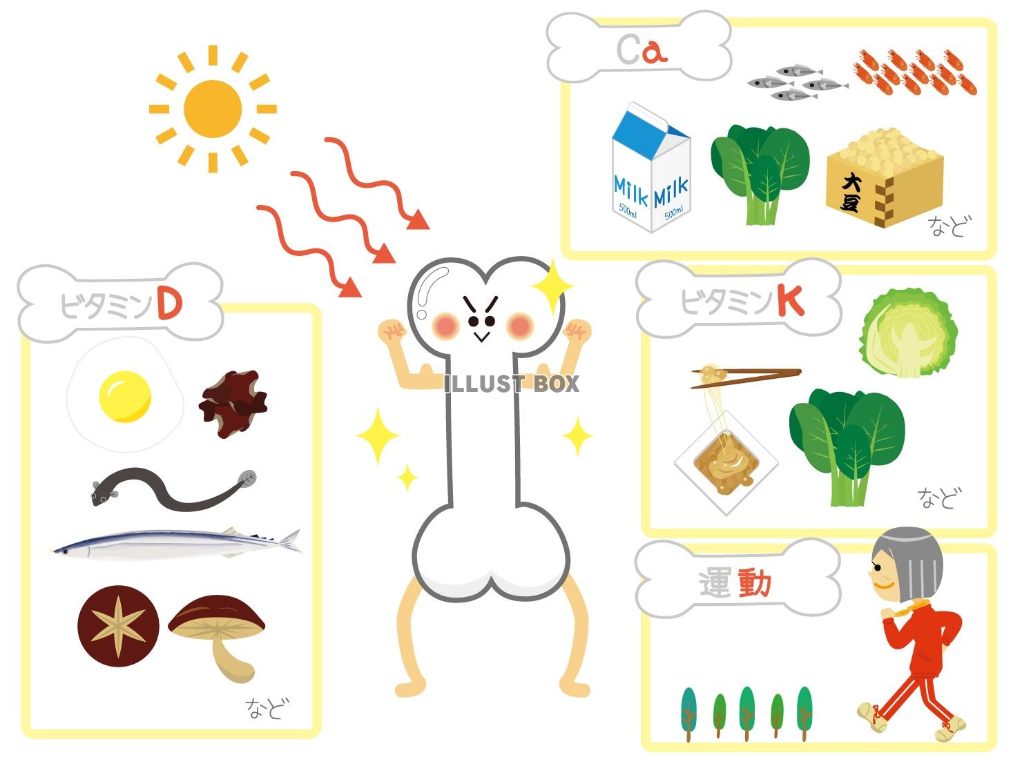 太陽からビタミンDをどうやって摂取するのですか？