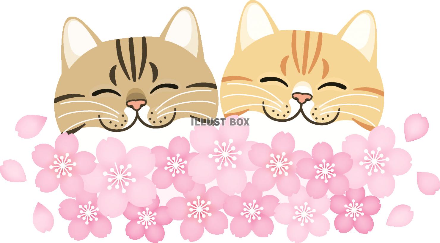 満開の桜と２匹の猫さん