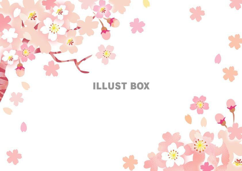 無料イラスト 卒業式や入学式に 春 桜の花のフレーム素材の和風 和柄のテン