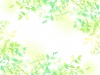 水彩風の葉っぱのイラストフレーム