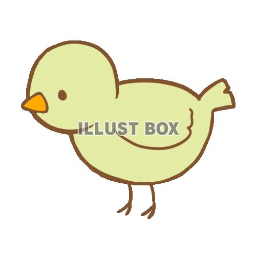 グリーンの鳥