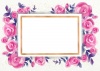 ピンクのバラの花メッセージカード
