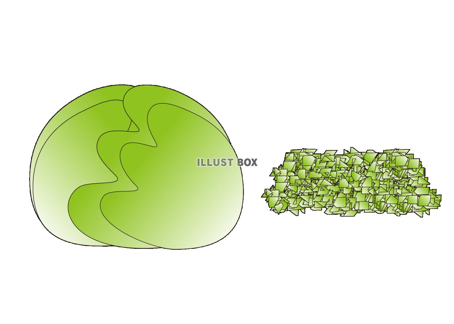イラスト（キャベツ・レタス、みじん切り）