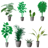 観葉植物シルエット_セット