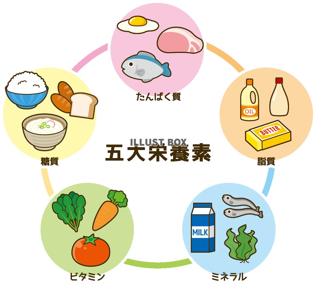 食育 イラスト無料