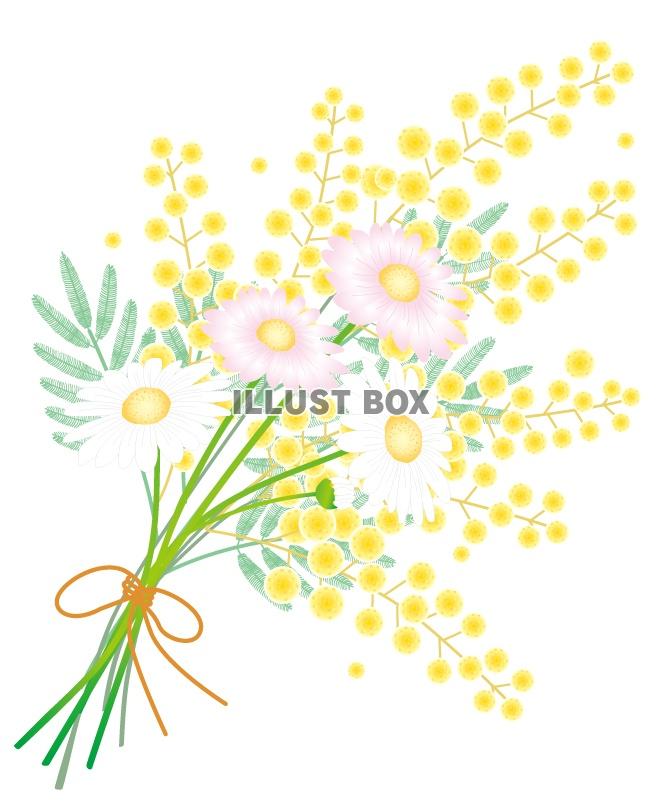 無料イラスト 春の花 ミモザとマーガレットブーケ