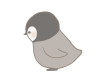 のぞくペンギンのイラスト　線あり