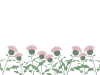 あざみのラインイラスト 　線なし