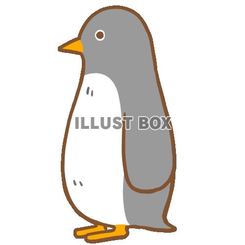 無料イラスト ペンギン 横向き