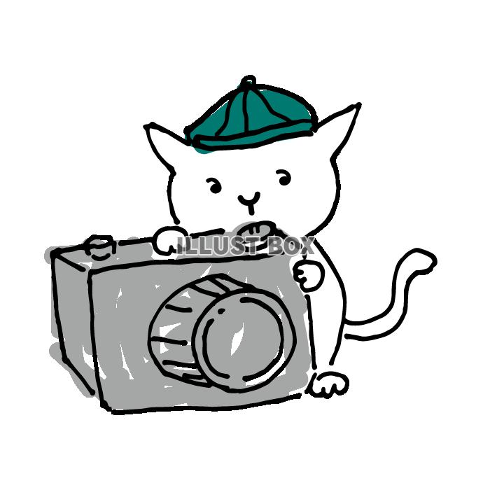無料イラスト 写真を撮影している白猫のイラスト2
