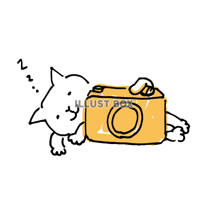 カメラと眠る白猫のイラスト