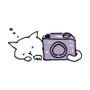 カメラと眠る白猫のイラスト3