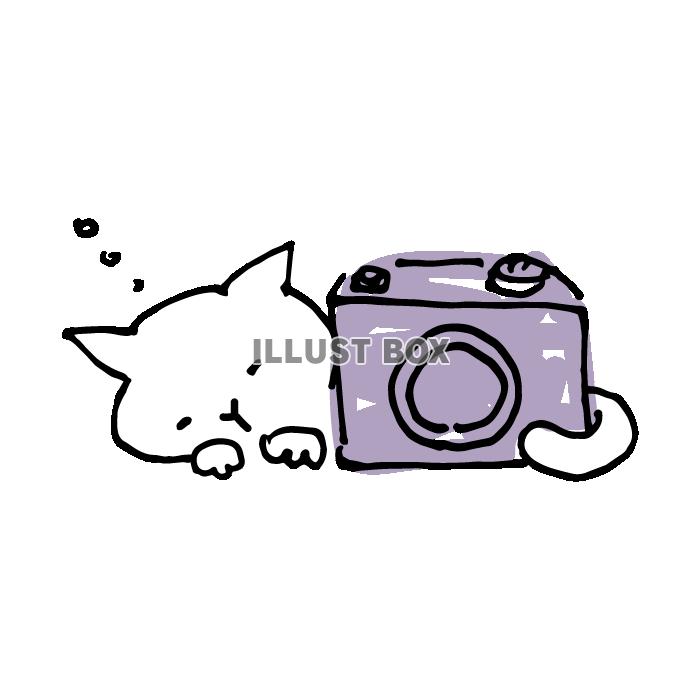 カメラと眠る白猫のイラスト3