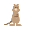 オーストラリアの動物　クォッカワラビー