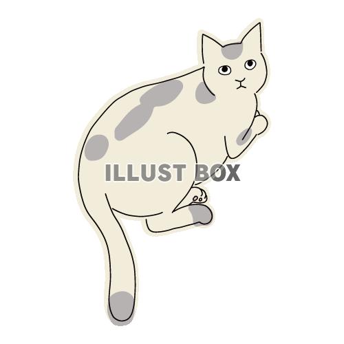 猫のシンプルかわいい全身イラスト　座っているぶち猫