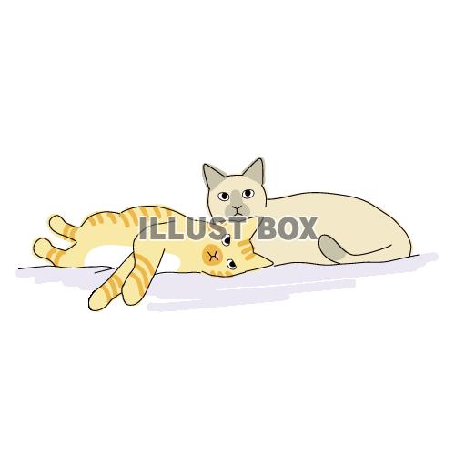 猫のシンプルかわいい全身イラスト　くっついている二匹の仲良し...