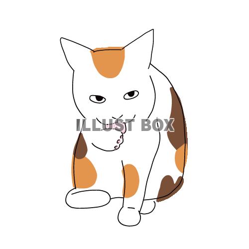 猫のシンプルかわいい全身イラスト　手を舐めている三毛猫