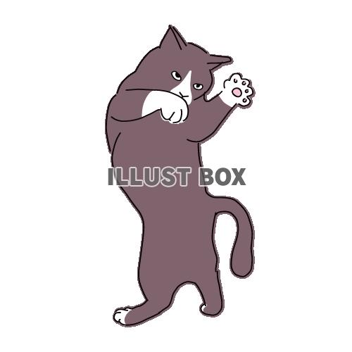 猫のシンプルかわいい全身イラスト　戦うポーズの猫