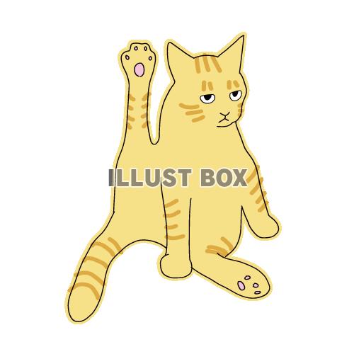 猫のシンプルかわいい全身イラスト　ヨガポーズの猫