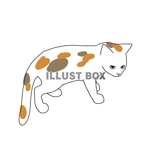 子猫 イラスト無料