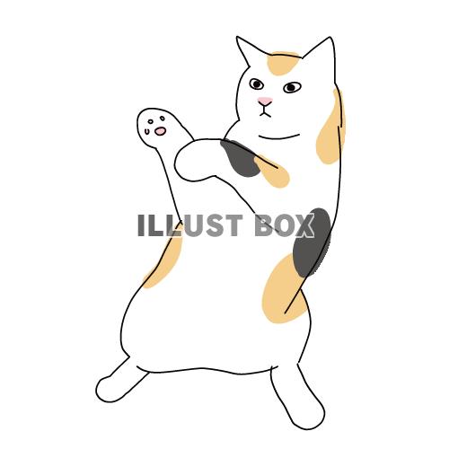 猫のシンプルかわいい全身イラスト　戦うポーズの三毛猫