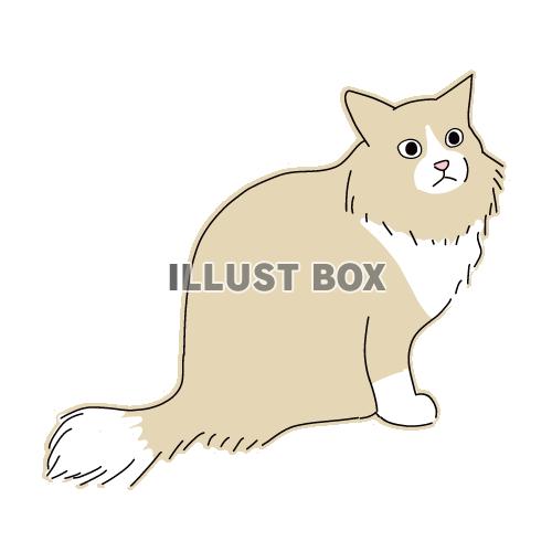 無料イラスト 猫のシンプルかわいい全身イラスト 長毛種の猫