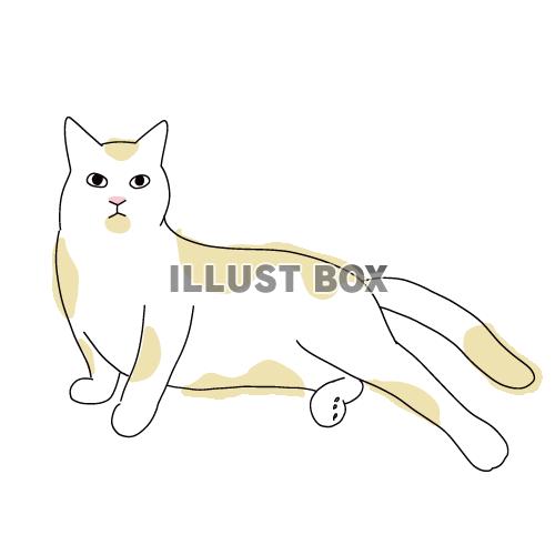 猫のシンプルかわいい全身イラスト　セクシーポーズで座る猫