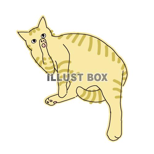 猫のシンプルかわいい全身イラスト　内緒のポーズの猫