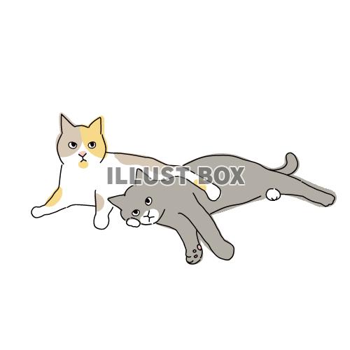 猫のシンプルかわいい全身イラスト　くっついている二匹の猫