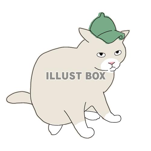 猫のシンプルかわいい全身イラスト　帽子をかぶる猫