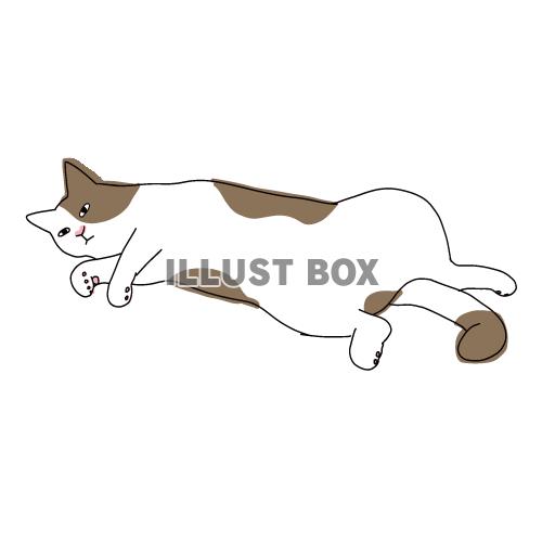 猫 イラスト無料