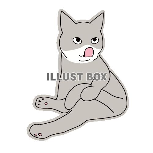 猫のシンプルかわいい全身イラスト　尻尾を持って舌を出している...