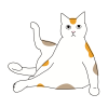 猫のシンプルかわいい全身イラスト　ヨガのポーズの猫