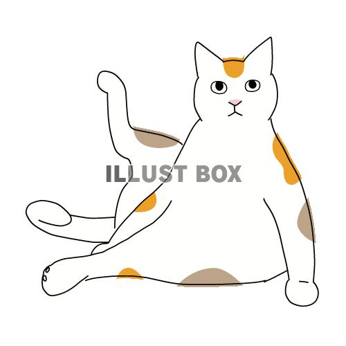 猫のシンプルかわいい全身イラスト　ヨガのポーズの猫