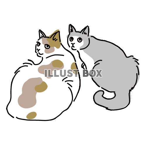 猫のシンプルかわいい全身イラスト　二匹で振り向く猫たち