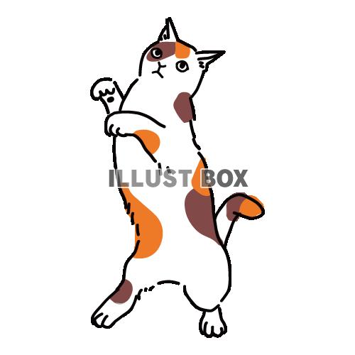 猫のシンプルかわいい全身イラスト　踊る三毛猫