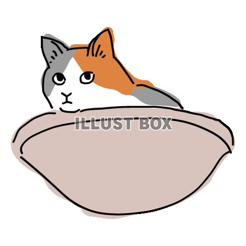 猫のシンプルかわいい全身イラスト　ハンモックの三毛猫