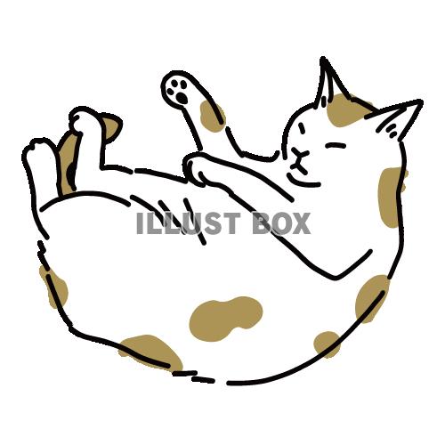 猫のシンプルかわいい全身イラスト　眠っている茶白の猫