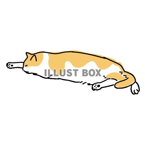 猫のシンプルかわいい全身イラスト　眠っている茶白の猫