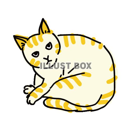 猫のシンプルかわいい全身イラスト　茶トラの猫