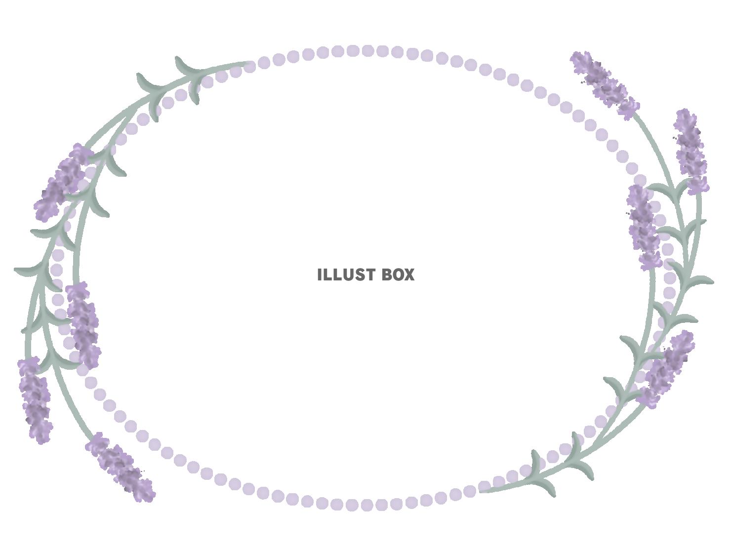 無料イラスト ラベンダーのサークルフレーム２