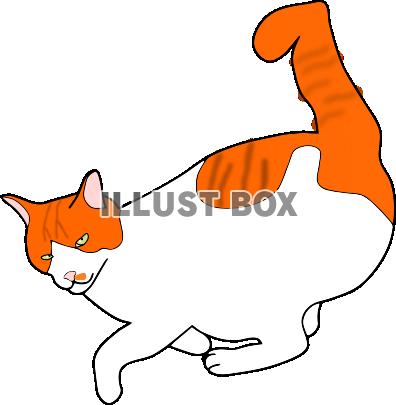 ご機嫌キャット【PNG】