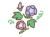 あさがおの花とつぼみ