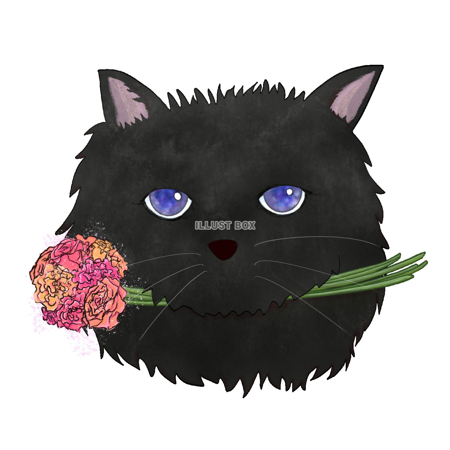 黒 猫 かっこいい イラスト