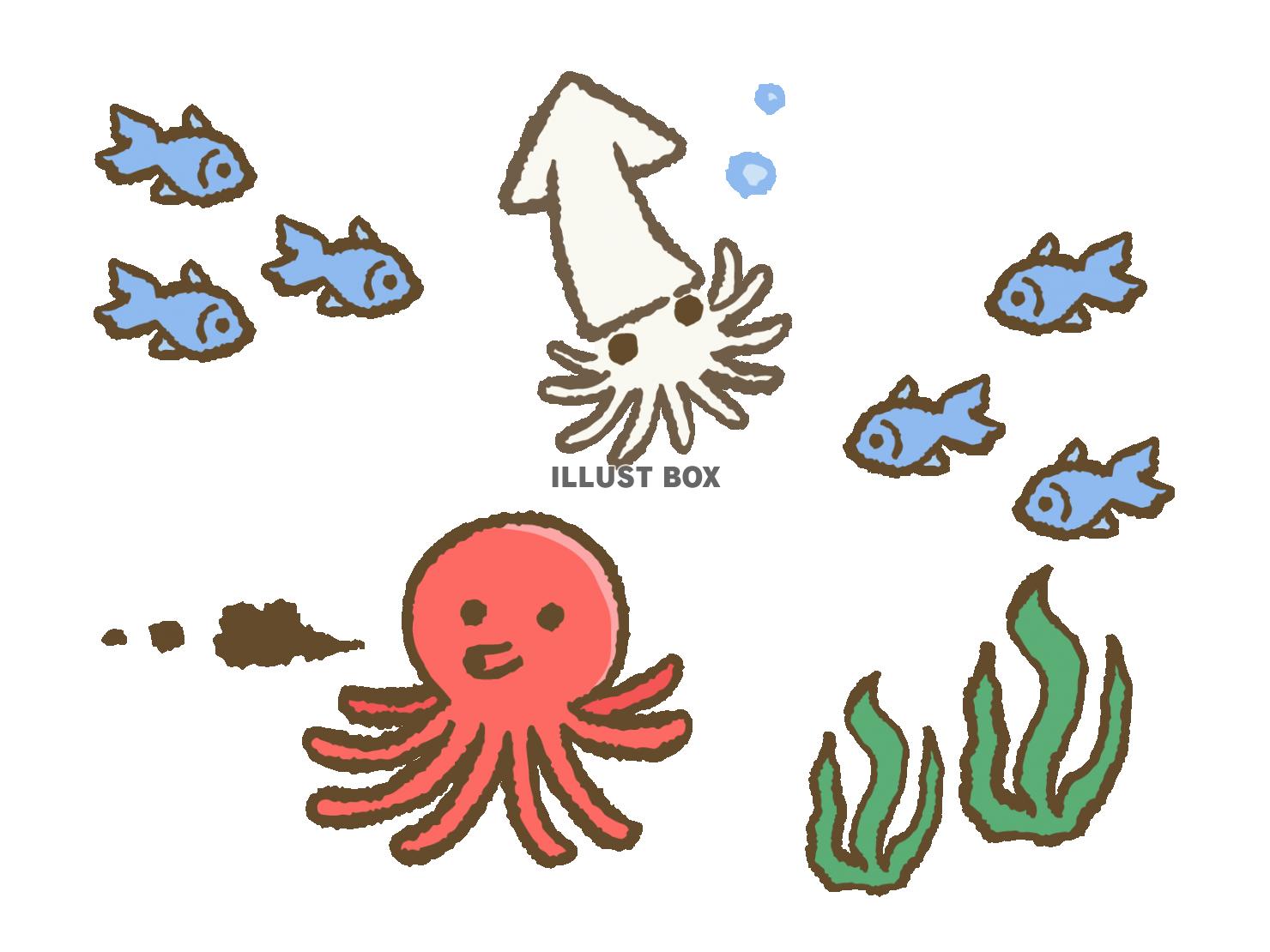 無料イラスト 海の生き物