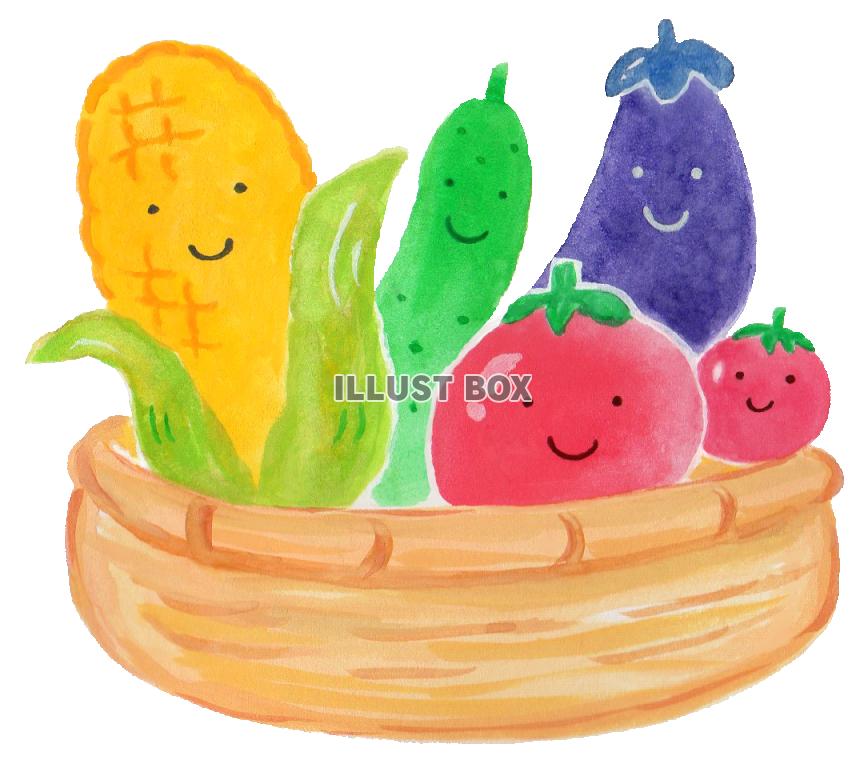 夏野菜 イラスト無料