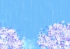 幻想的で紫陽花の綺麗な雨背景（A4横）