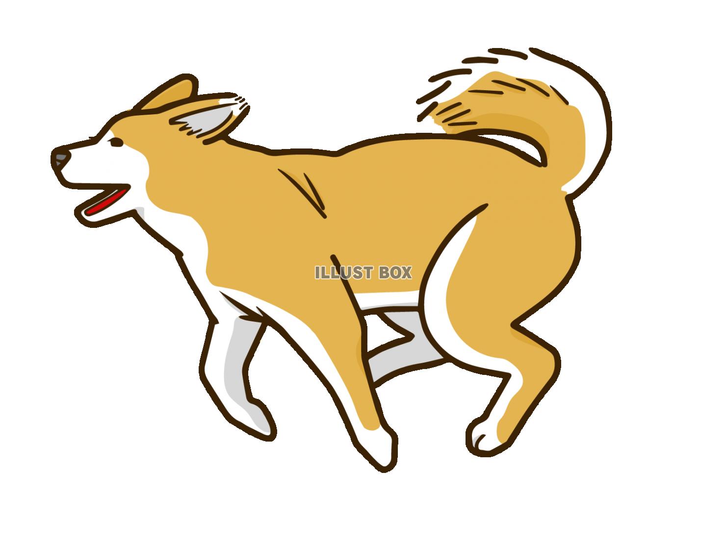 飼い犬 イラスト無料