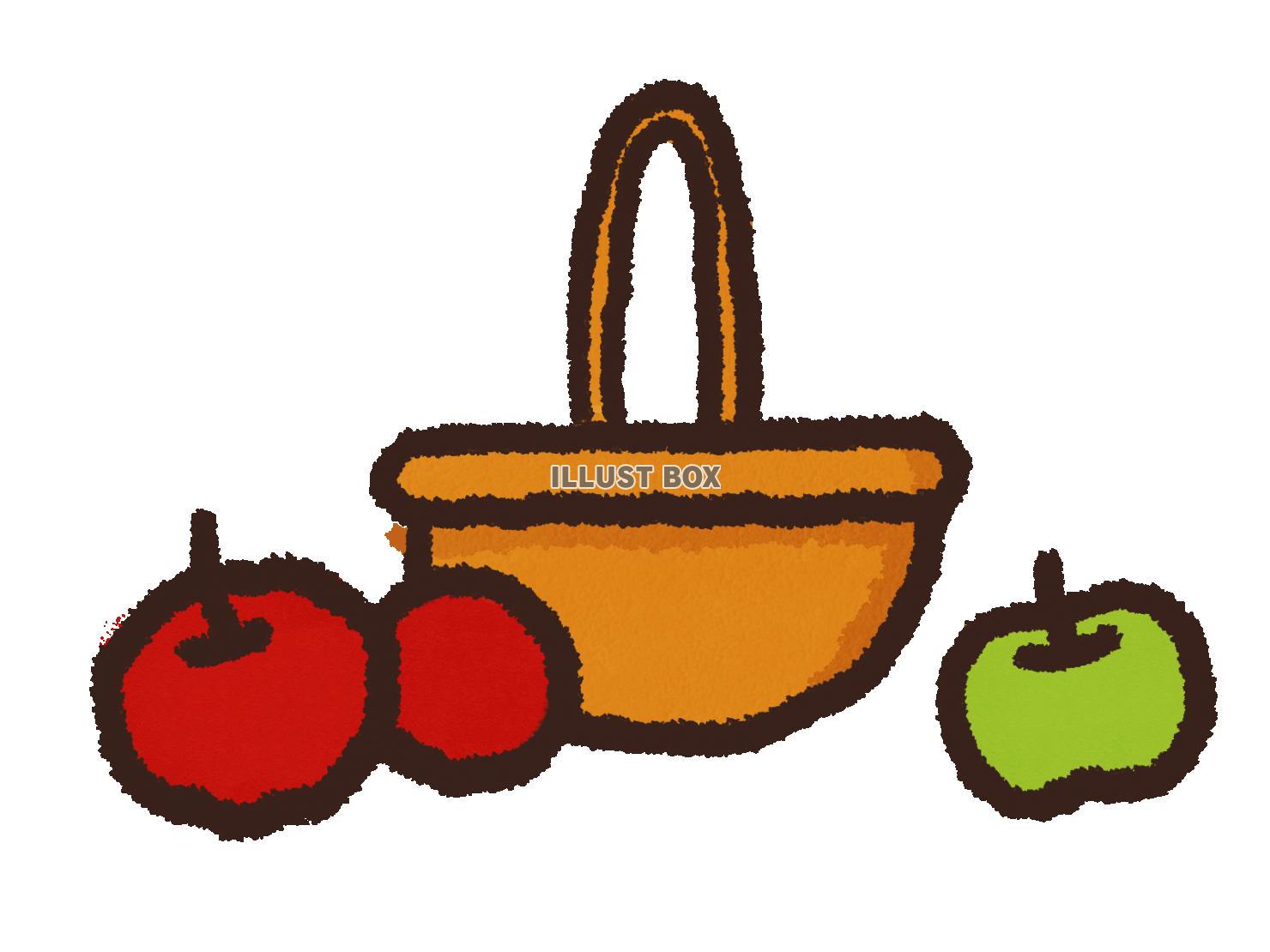りんごの収穫