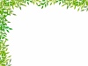 木の葉フレームシンプル飾り枠背景イラスト